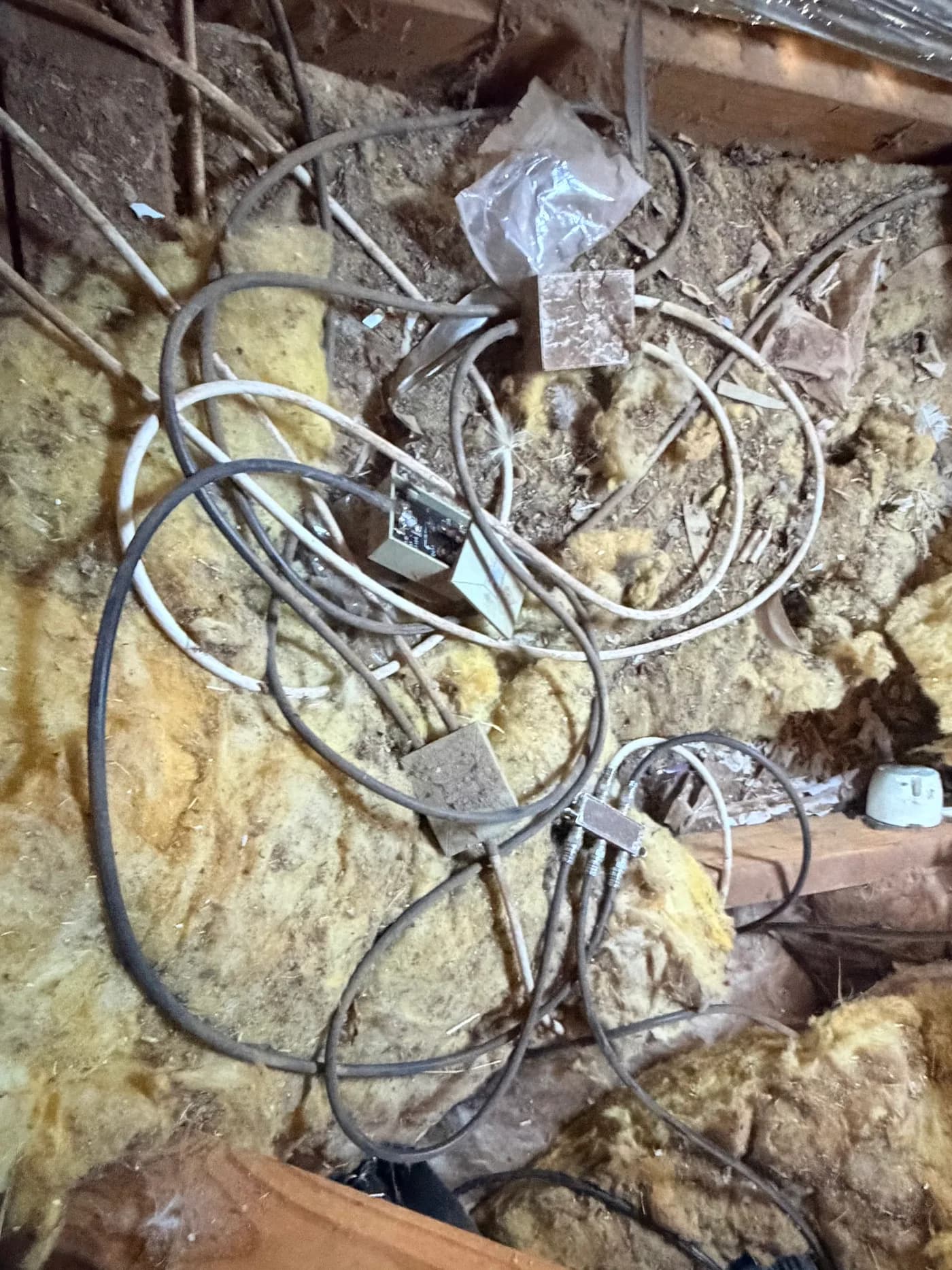 Multiple old plastic TV splitters and tangled cabling found in an Adelaide roof